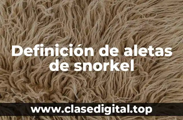 Definición de aletas de snorkel