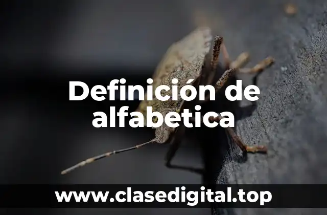 Definición de alfabetica