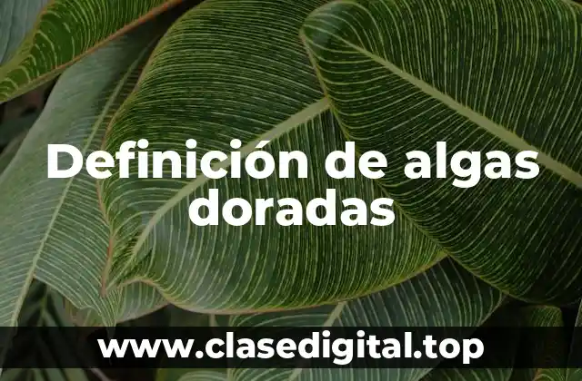 Definición de algas doradas