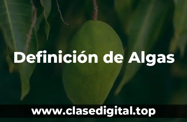 Definición de Algas