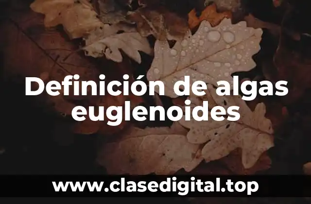 Definición de algas euglenoides