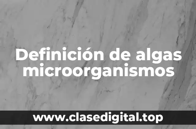 Definición de algas microorganismos