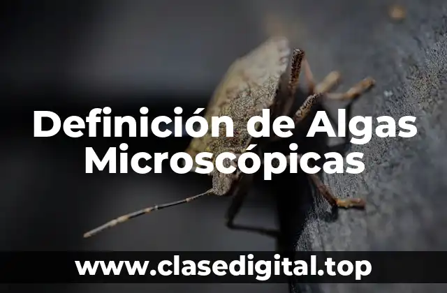 Definición de Algas Microscópicas