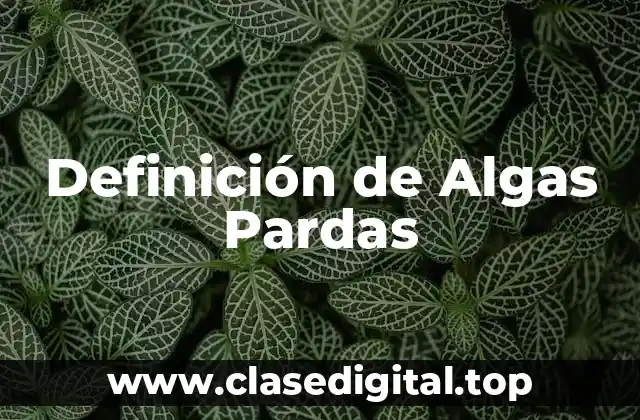 Definición de Algas Pardas