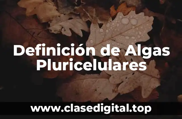 Definición de Algas Pluricelulares
