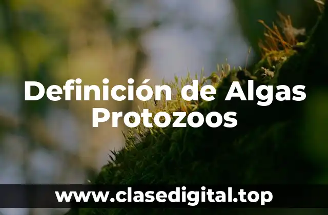 Definición de Algas Protozoos