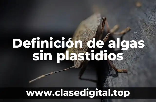Definición de algas sin plastidios