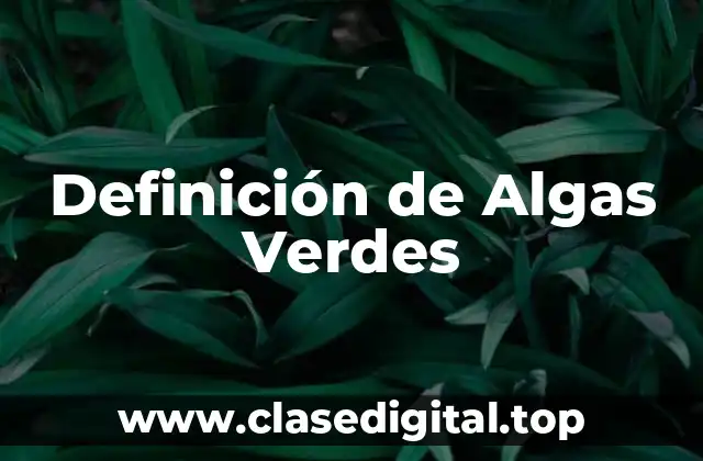 Definición Técnica de Algas Verdes