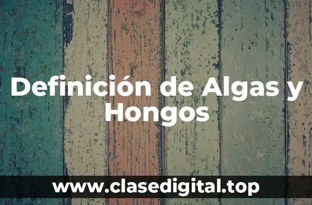 Definición de Algas y Hongos