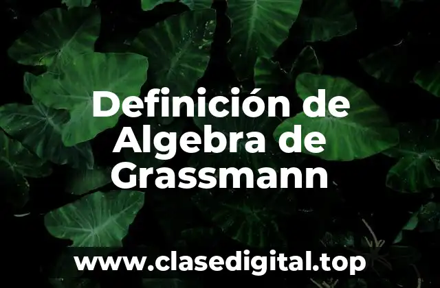 Definición técnica de Algebra de Grassmann