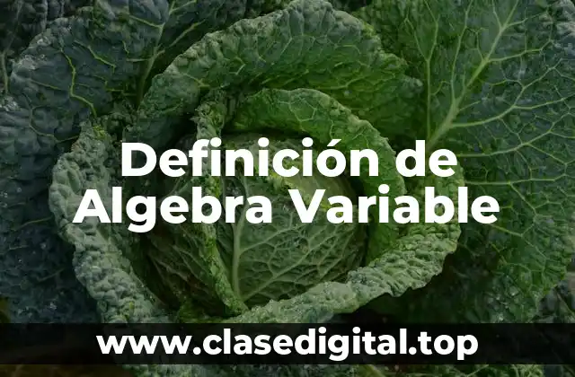 Definición de Algebra Variable