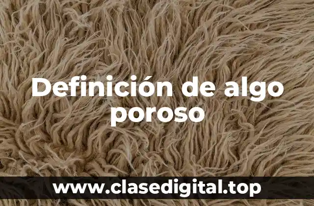 Definición de algo poroso