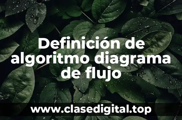 Definición de algoritmo diagrama de flujo