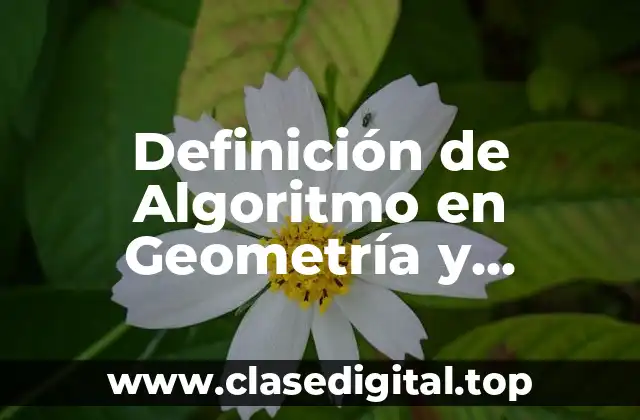 Definición Técnica de Algoritmo en Geometría y Trigonometría