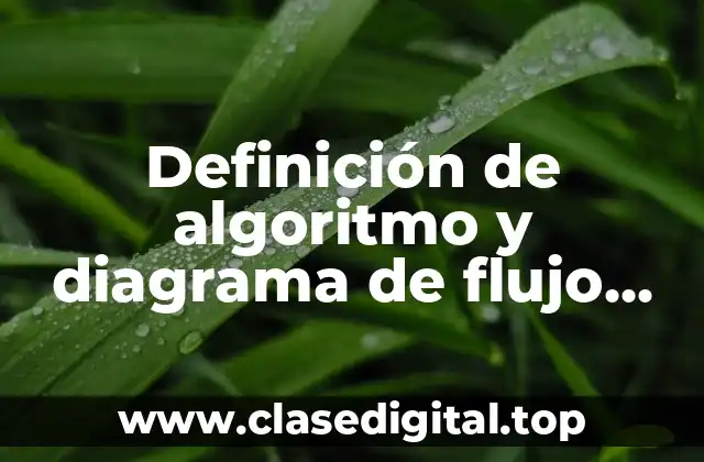 Definición de algoritmo y diagrama de flujo para un campamento