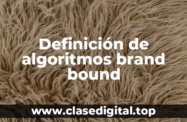 Definición de algoritmos brand bound