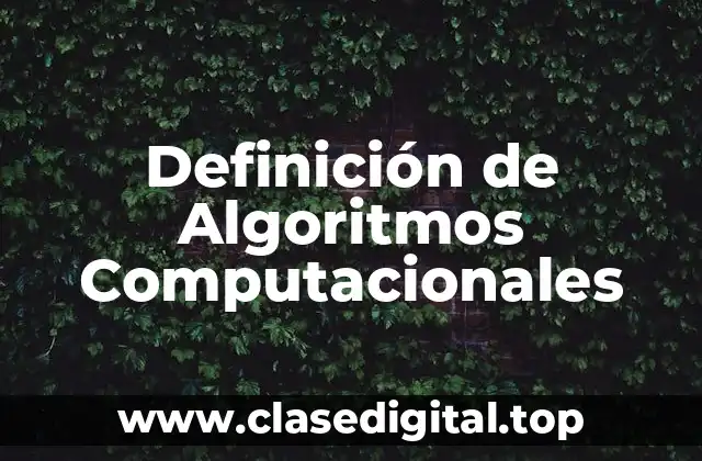 Definición Técnica de Algoritmo Computacional