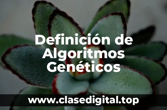 Definición técnica de Algoritmos Genéticos