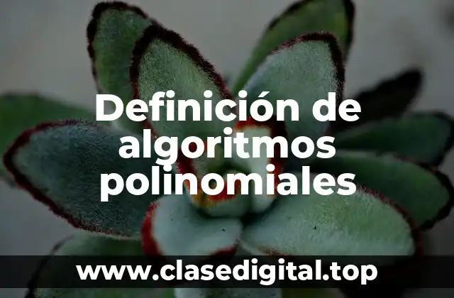 Definición de algoritmos polinomiales