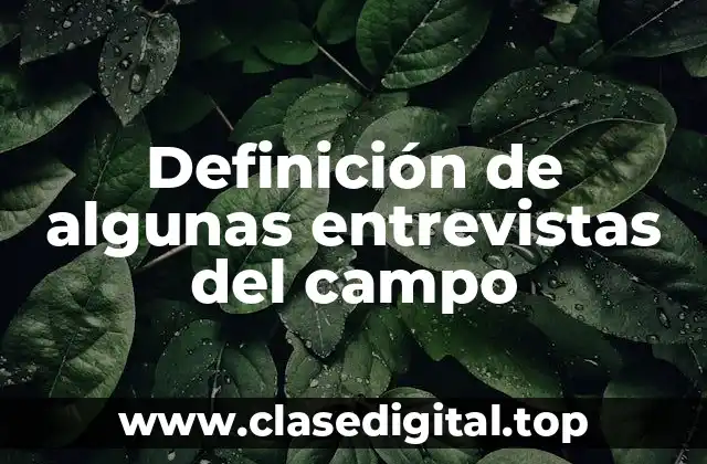 Ejemplos de algunas entrevistas del campo