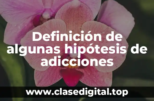 Definición de algunas hipótesis de adicciones