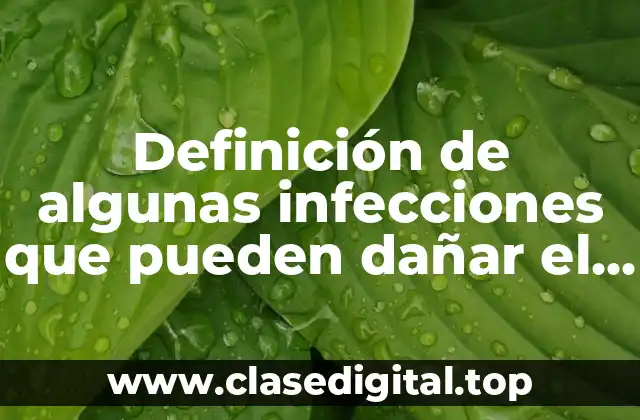 Ejemplos de infecciones que pueden dañar el sistema nervioso