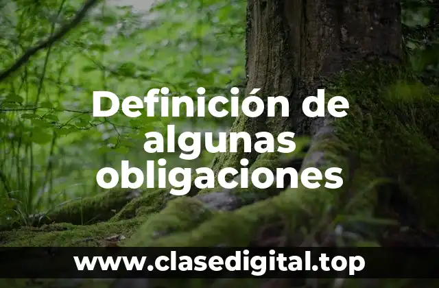 Definición de algunas obligaciones