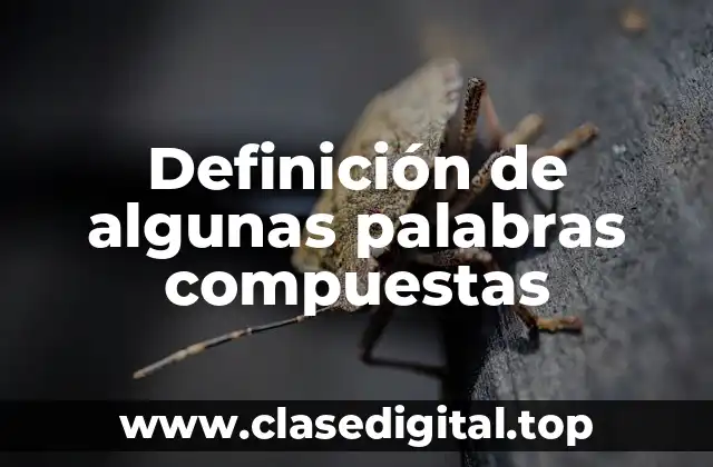Definición de algunas palabras compuestas