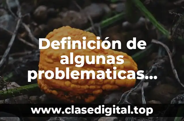 Definición de algunas problematicas sociales actuales en México