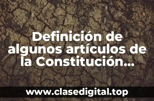 Definición de algunos artículos de la Constitución Mexicana