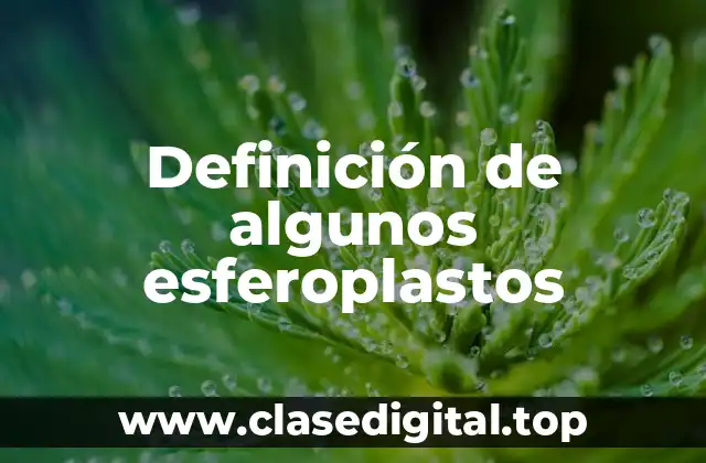 Definición de algunos esferoplastos