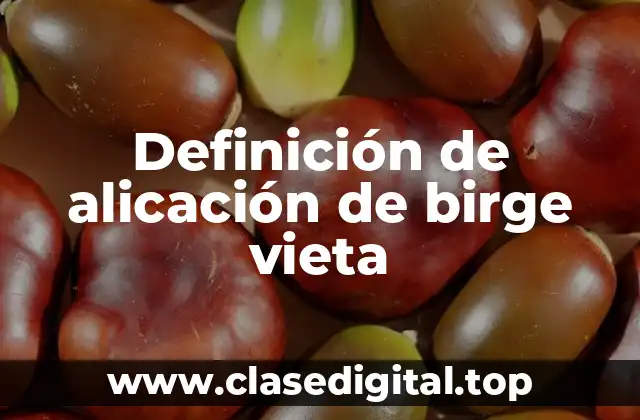 Definición de alicación de birge vieta