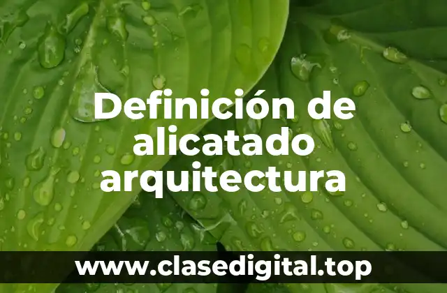 Definición de alicatado arquitectura