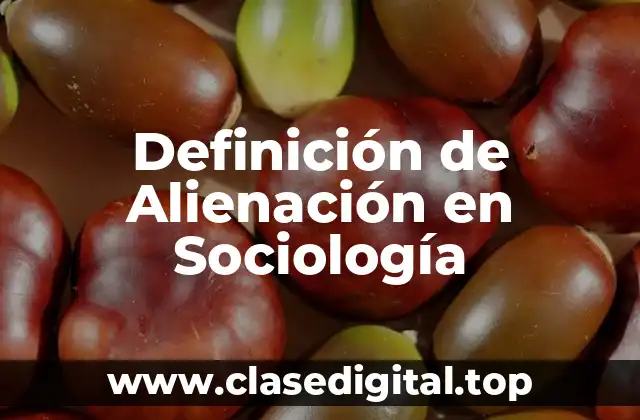 Definición de Alienación en Sociología