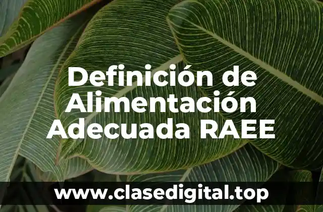 Definición de Alimentación Adecuada RAEE