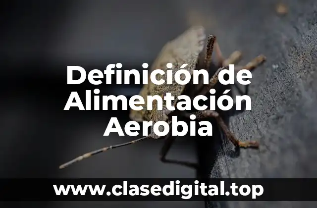 Definición de Alimentación Aerobia