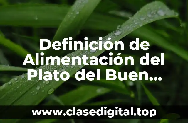 Definición de Alimentación del Plato del Buen Comer
