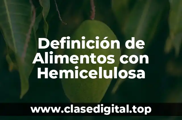 Definición de Alimentos con Hemicelulosa