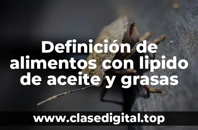 Ejemplos de alimentos con lipido de aceite y grasas