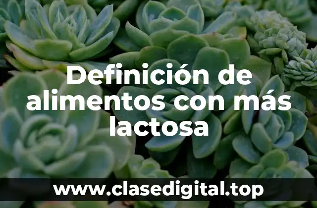Definición de alimentos con más lactosa