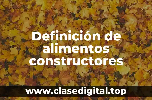 Definición de alimentos constructores