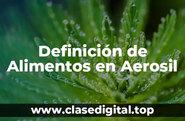 Definición de Alimentos en Aerosil
