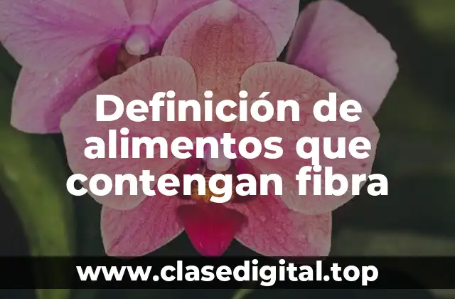 Definición de alimentos que contengan fibra