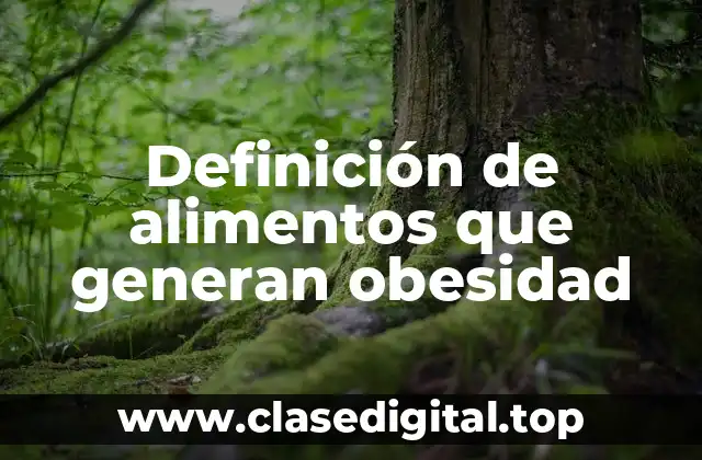 Ejemplos de alimentos que generan obesidad