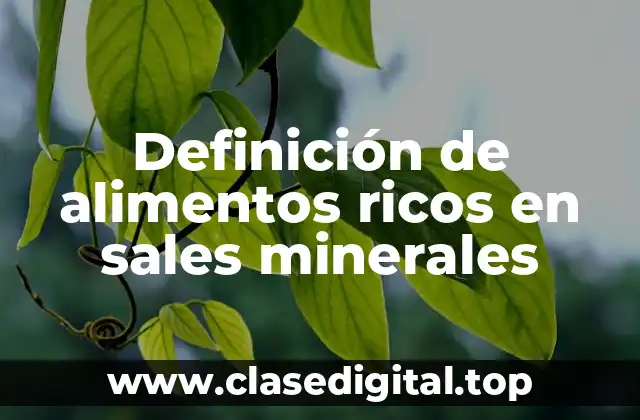 Definición de alimentos ricos en sales minerales