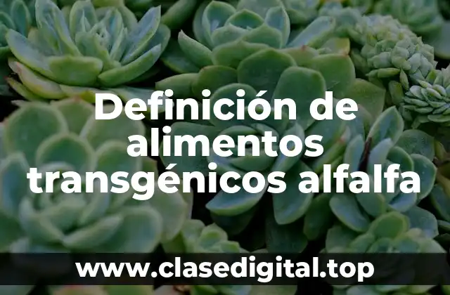 Definición de alimentos transgénicos alfalfa
