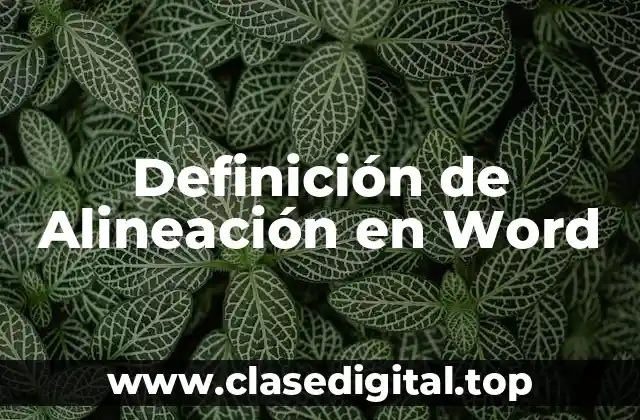 Definición de Alineación en Word