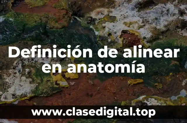 Definición de alinear en anatomía