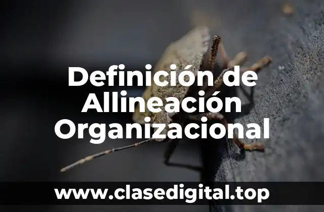 Definición de Allineación Organizacional