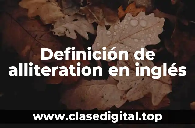 Definición técnica de alliteration en inglés